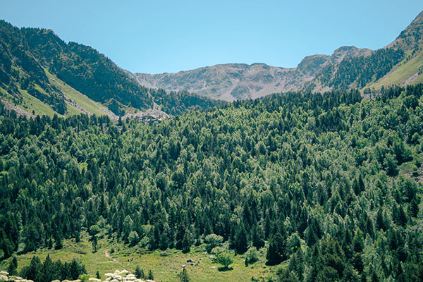 Le parc naturel de Sorteny Andorre