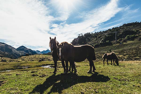 Things to do in Andorra